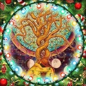 Meet your Posher, Brandi